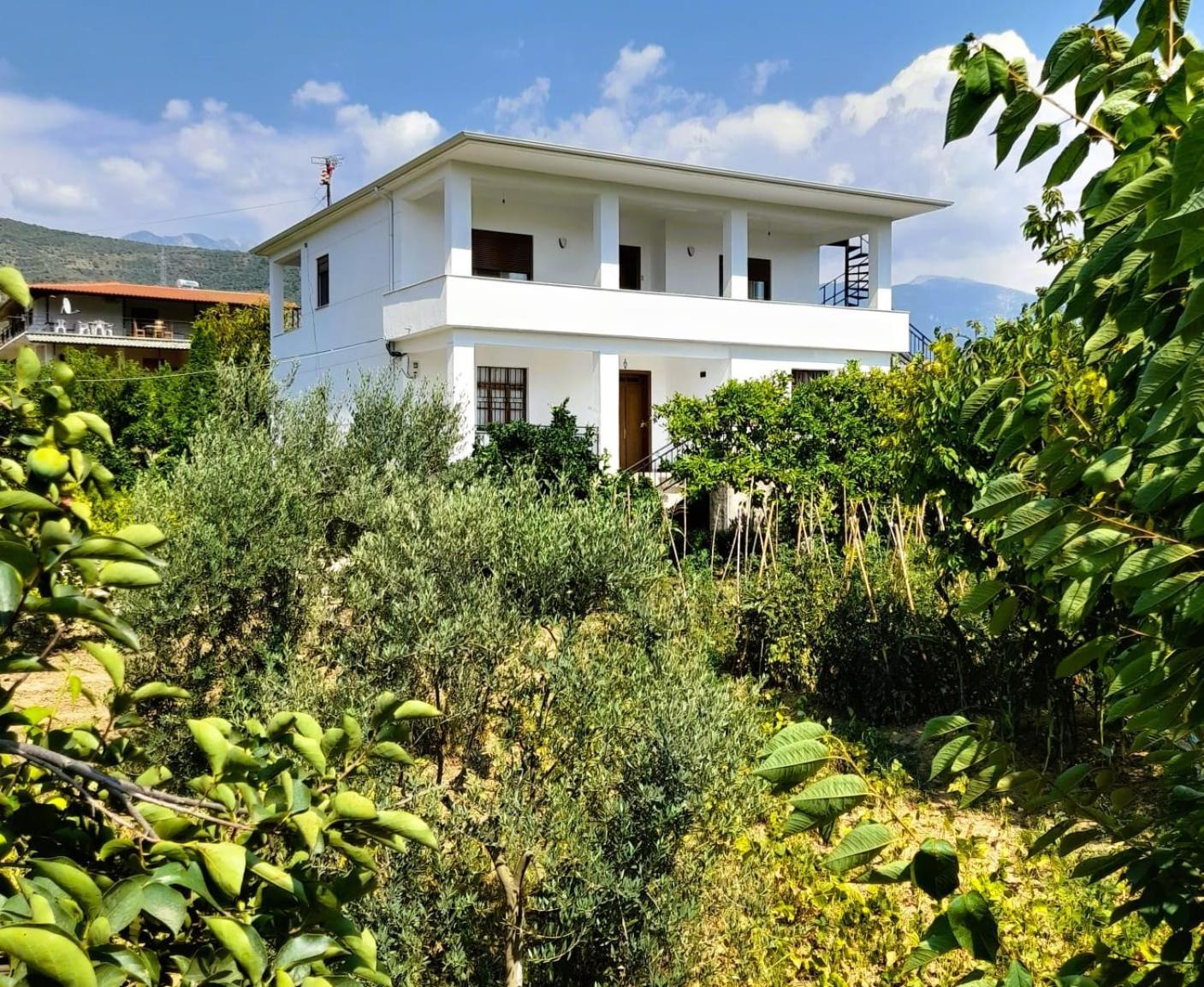 Villa Besart Berat Exterior photo